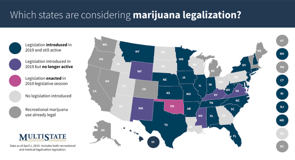 Which States are Considering Legalizing Marjiuana